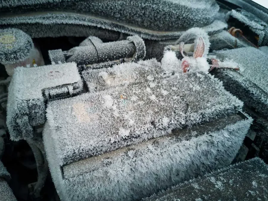 “Chill Out: How Cold Weather Plays with Your Car’s Battery”